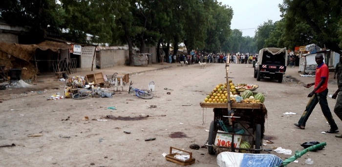 Two suicide bombers killed in Far North Region of Cameroon